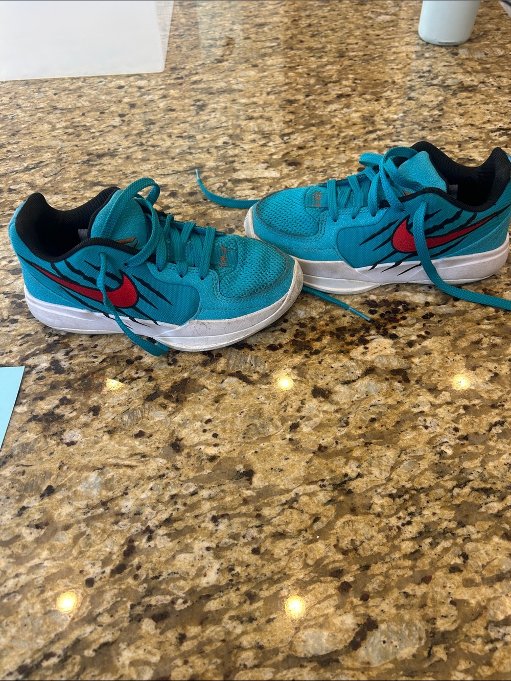 Nike Kids Teal Sneakers with Red Swoosh